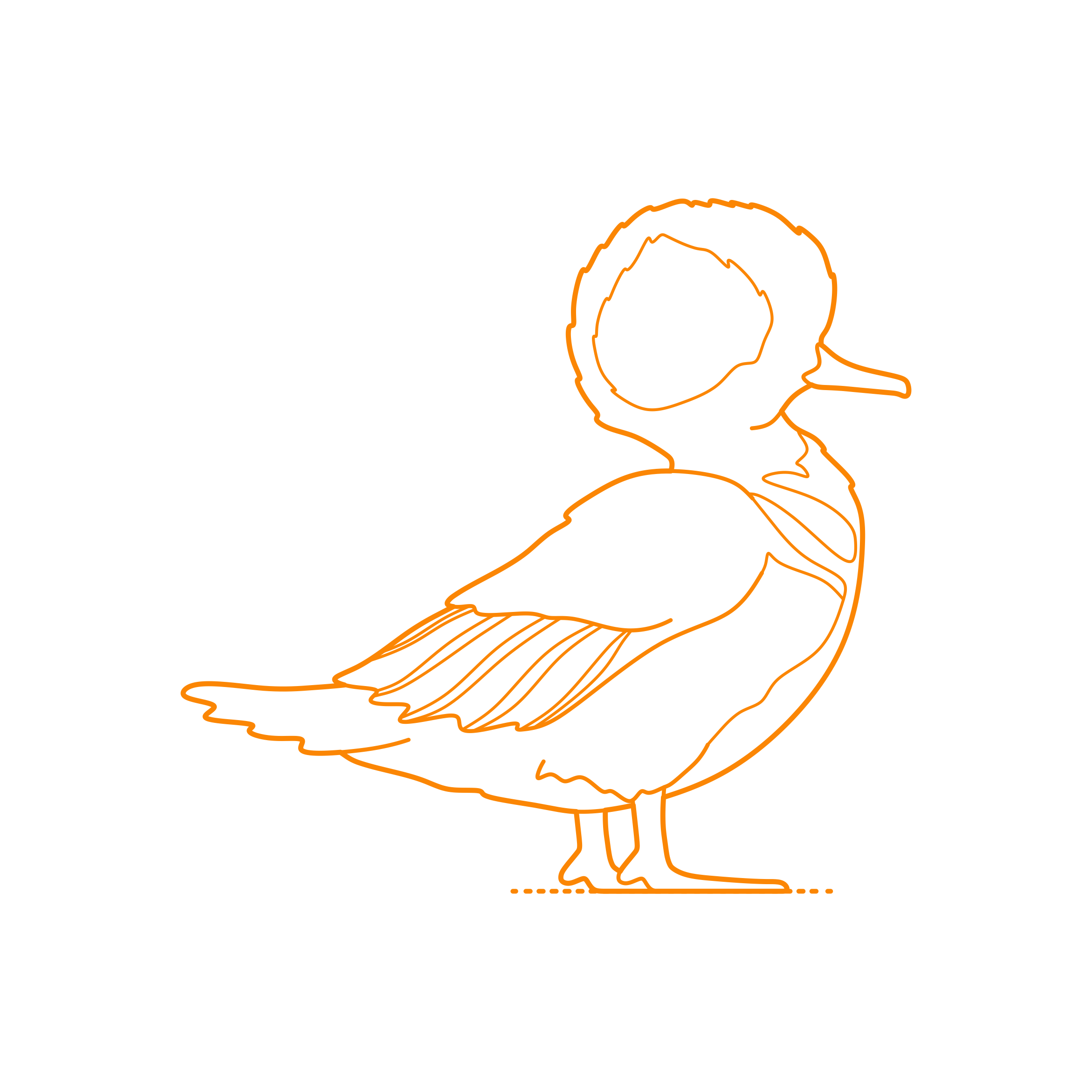 Animals Waterfowl Hooded Merganser Contour Svg Vector Free Vectors